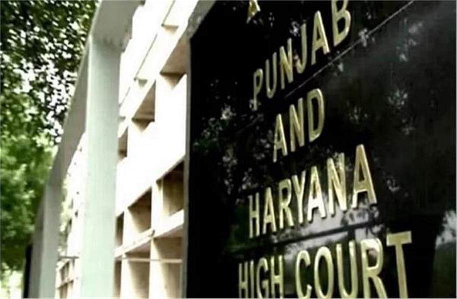 Punjab High Court stops panchayat election process in village